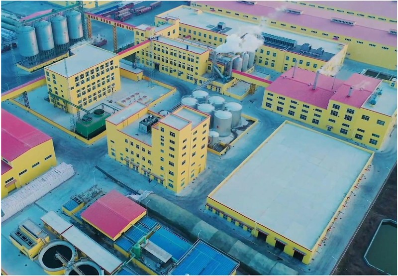 200 TPD Peanut Oil Refinery in China