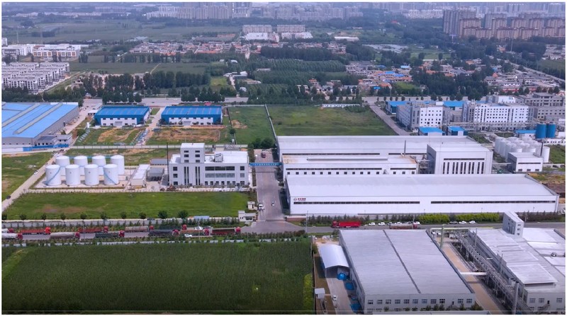 400 TPD Sunflower Oil Refinery in China
