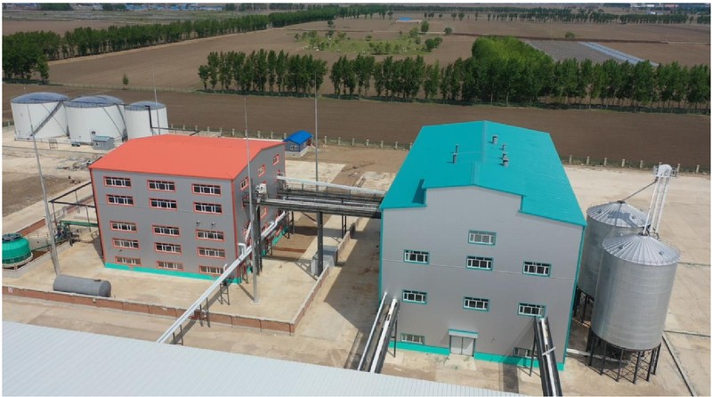 500 TPD Soybean and Canola Oil Factory in China